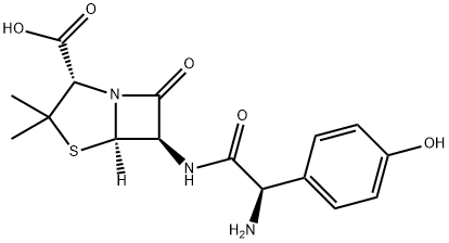 Amoxicillin CAS#26787-78-0