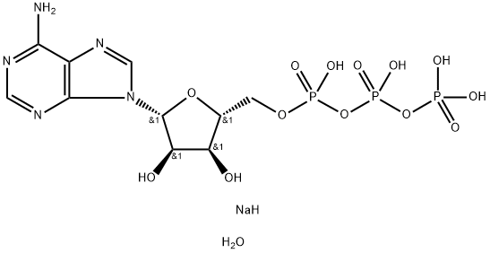 Adenosine5'-(tetrahydrogen triphosphate), disodiuM salt, trihydrate (9CI) CAS#51963-61-2